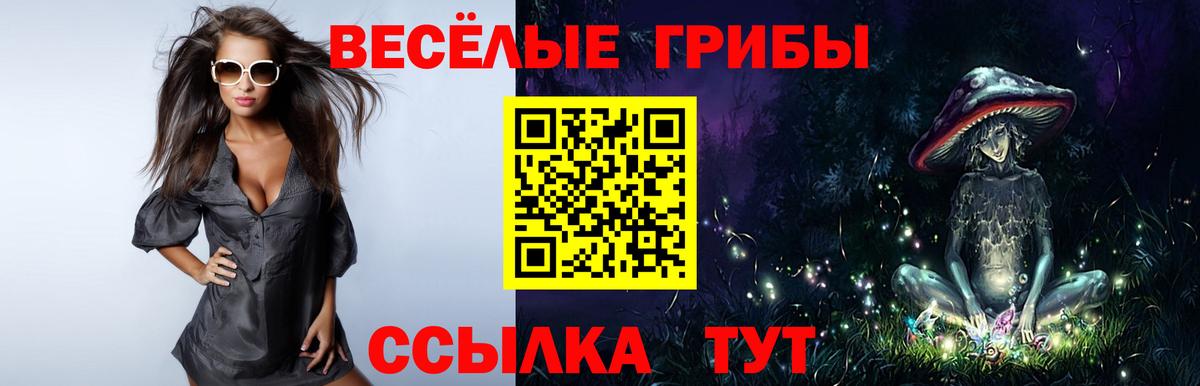Псилоцибиновые грибы мухоморы Батайск